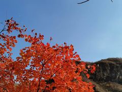 -周口店坡峰岭风景区