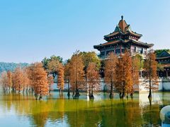 -顺峰山公园