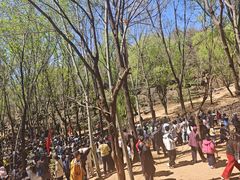 -红嫂家乡旅游区