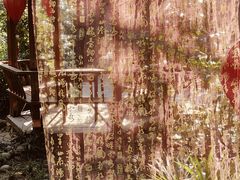 -西安国际创新人才交流中心•药浴温泉