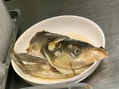 -禧凰·老上海白斩鸡辣肉面店