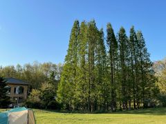 -棒棰岛宾馆景区