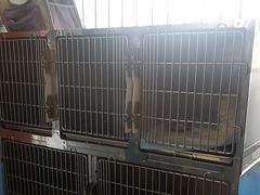 -瑞派福兴宠物医院犬猫全科·骨科·中西医结合(河东店)