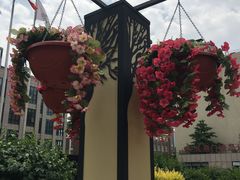 -辽宁省人民医院