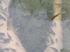 -三江森林温泉度假区