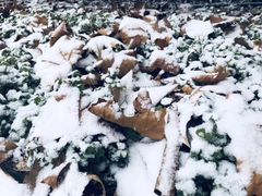 -陕西师范大学(雁塔校区)