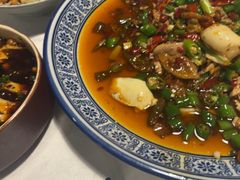 -新蜀会四川豆花(五羊店)