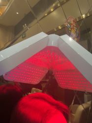 -碧莲盛·不剃发植发