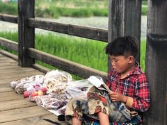 -泸沽湖国家级风景名胜区走婚桥