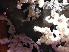 -汤乐汇•足道•SPA生活馆