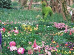 -上海共青森林公园