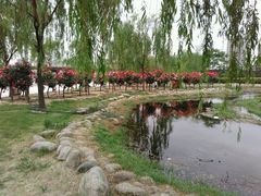 -咸阳湖景区-古渡公园