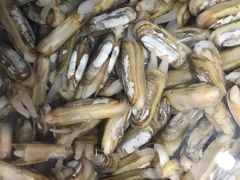 -宾朋海鲜特色美食餐厅·纯手工鲅鱼水饺(兴海路店)