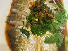 -苏大嘴蒸汽海鲜·海胆蒸饺(中山广场店)