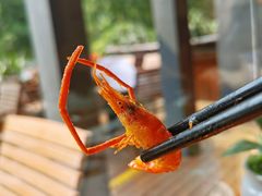 -丹江渔村(望京店)