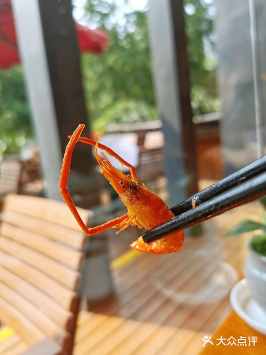 丹江渔村(望京店)图片