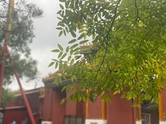 -锅儿挑面馆