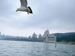 -星海湾跨海大桥