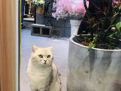 -筑艺咖啡