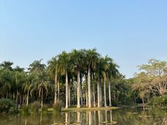 -中国科学院西双版纳热带植物园