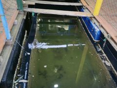 -蓝湾碧波·老字号·疍家非遗海上餐厅