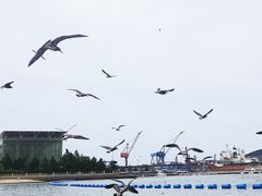 -海驴岛(荣成市)