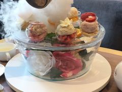 -哈根达斯(石家庄北国店)
