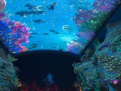 -珠海长隆海洋王国