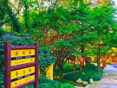 -普陀山雷迪森庄园