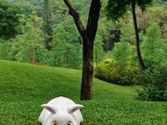 -云溪植物园