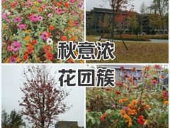 -四川大学(江安校区)