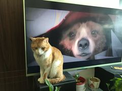 -艾泽瑞斯图文快印打印复印证件照设计名片画册(艾泽瑞斯打印复印洗照片店)