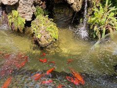 -飞马旅黎黄陂路文旅街区