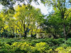 -洛阳市隋唐城遗址植物园