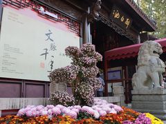-上海醉白池公园