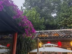 -院8里·少城记忆老川菜(宽窄巷子店)