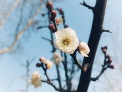 -东钱湖旅游度假区