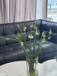 点击看大图 -谦和国际皮肤管理