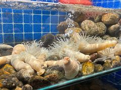 沙蒜-健眺小海鲜(临海后山店)