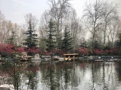 -山东大厦