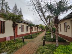 -上海长兴岛郊野公园