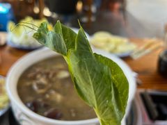 -鸡足缘·海稍鱼•野生菌火锅