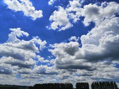 -辛玛王国游乐园