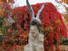 -静之湖湖畔餐厅