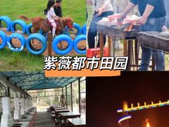 -武汉紫薇都市田园