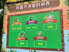 -广州长隆飞鸟乐园