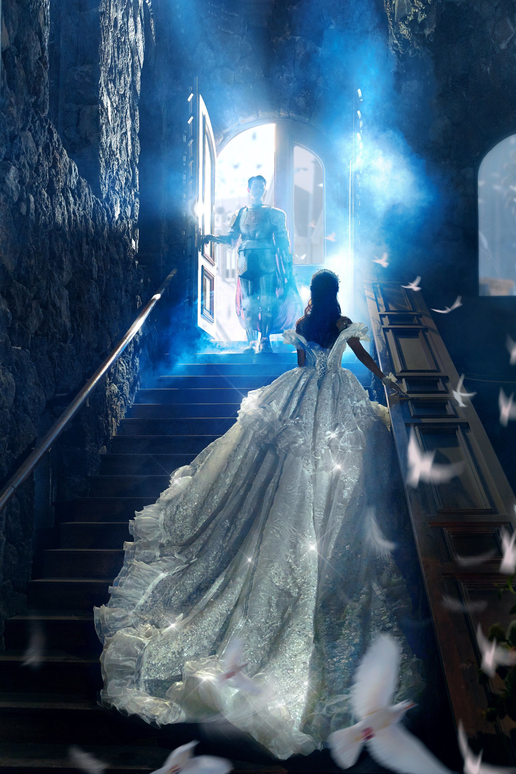 骑士与公主系列