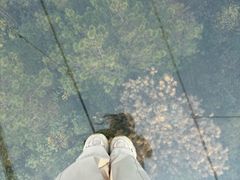 -盈香心动乐园