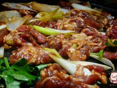 -燚店·铁板鱼蛙·烤肉·烤串(北新桥店)
