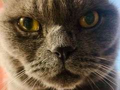 -Rabbit Cafe私房西餐甜点咖啡(栖霞路店)